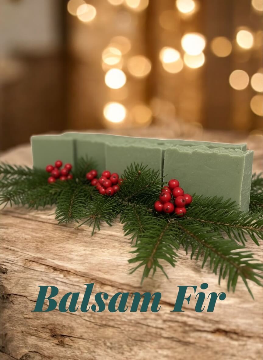 Balsam Fir Soap Bar
